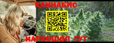 гашик Бузулук