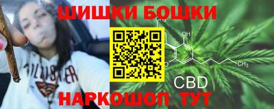 spice Будённовск