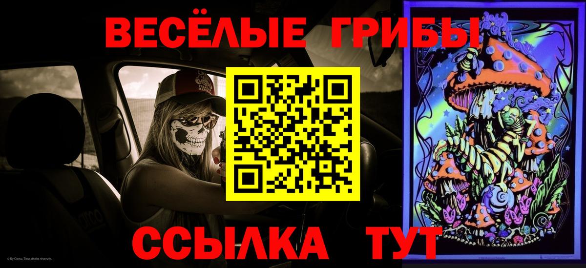 Псилоцибиновые грибы прущие грибы  Псилоцибиновые грибы Psilocybine cubensis  Вход с VPN  Рязань 
