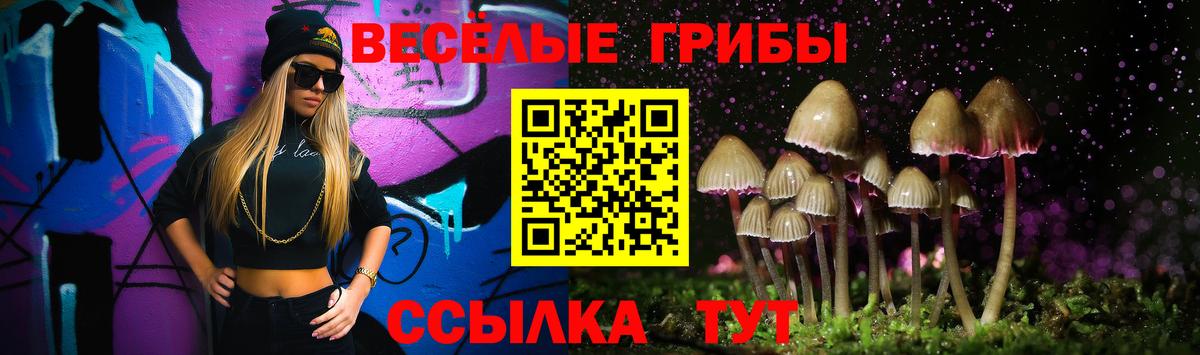 Псилоцибиновые грибы Cubensis Рязань